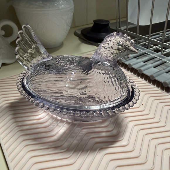 Rose’s Closet Smoke (gray) hen on nest with original box *Callouts* - Picture 11 of 13